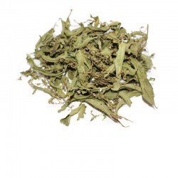 Verbena with fragrant lemongrass