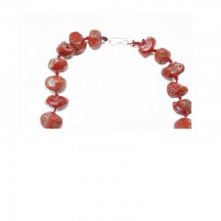 Necklace gorgonian coral