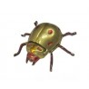 Copper ladybug