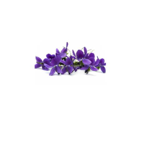 Violette perfume extract