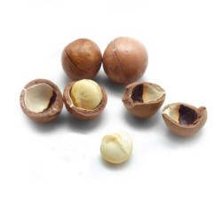 Noci macadamia in guscio