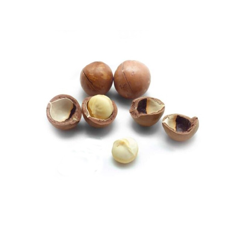 Macadamia Nuts In Shell