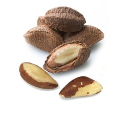 Brazil Nuts in Shell