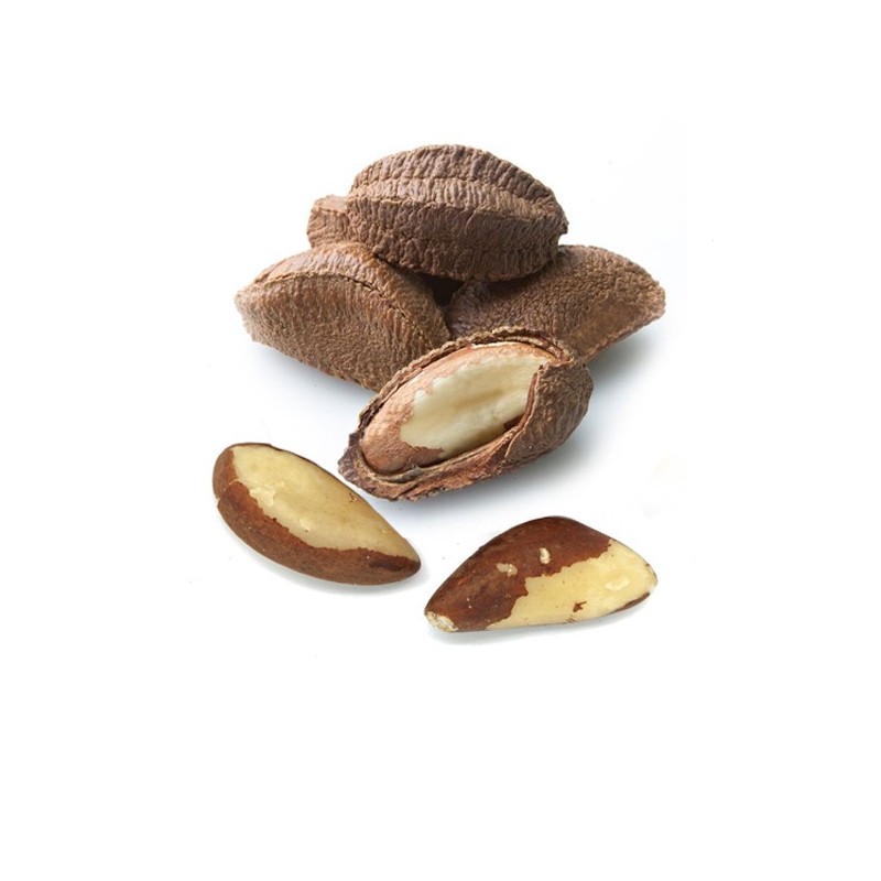 Brazil Nuts in Shell